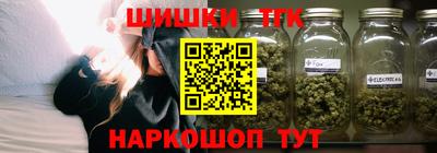 2c-b Кингисепп
