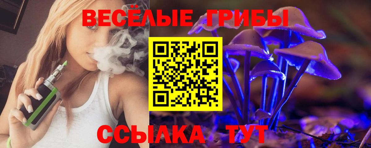 Киселёвск  Псилоцибиновые грибы Magic Shrooms  Вход с VPN  Псилоцибиновые грибы мицелий 