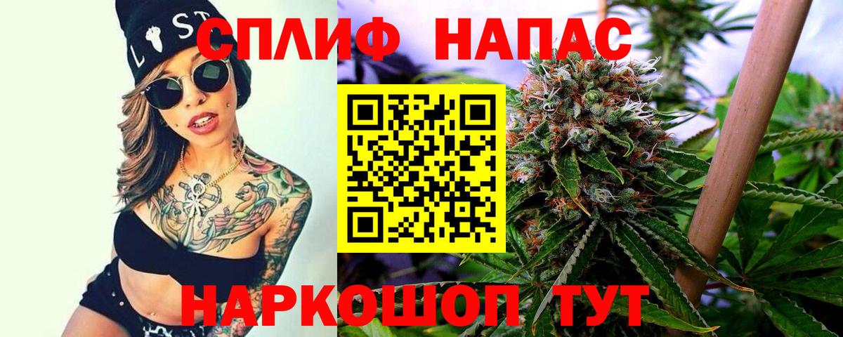 Шишки марихуана Amnesia Киселёвск